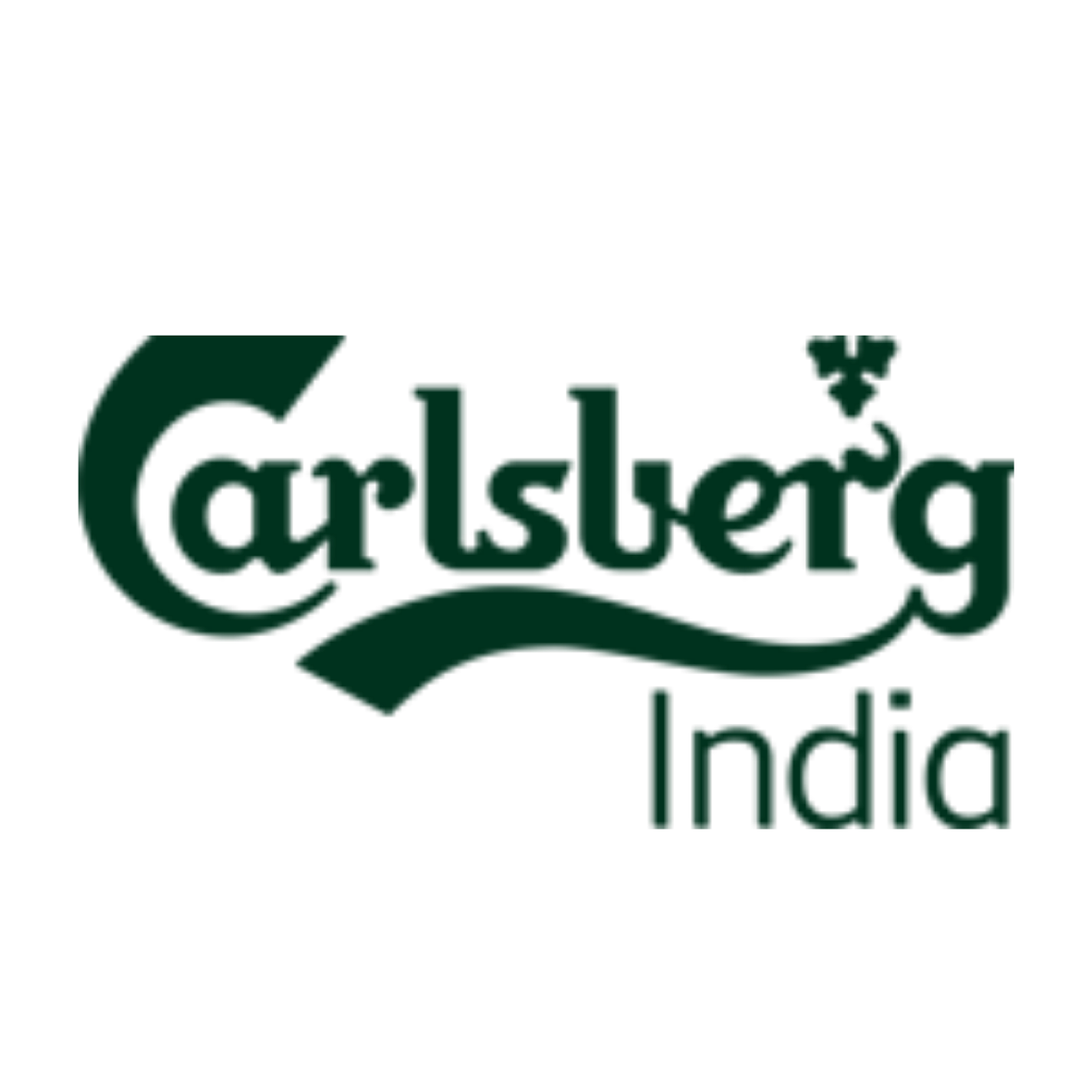 Client Logo 6